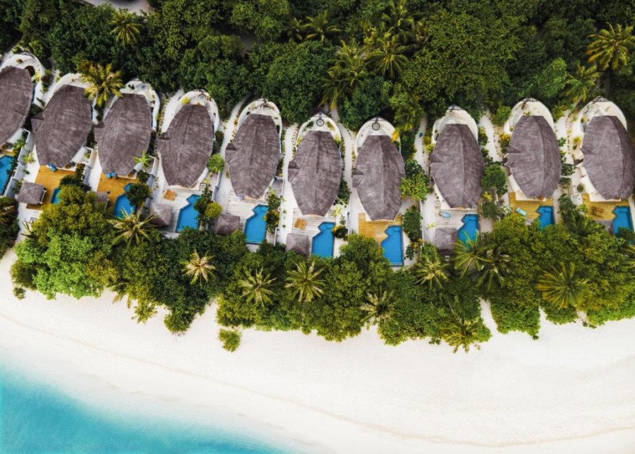 Furaveri Island Resort & Spa - photo 24