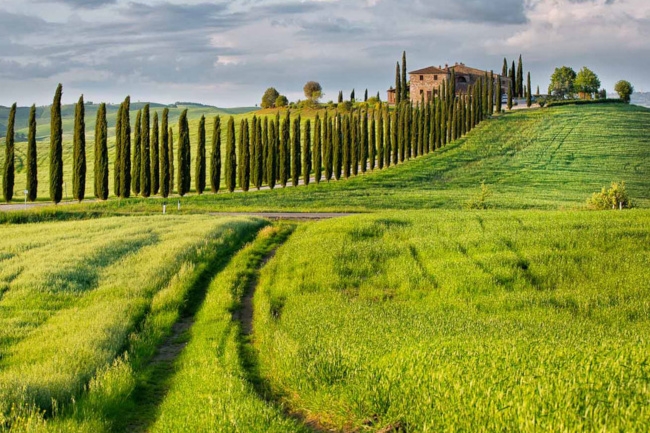 Val d'Orcia 
